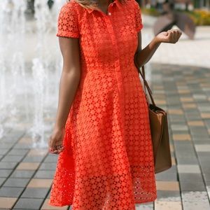 Ann Taylor Eyelet Flare Dress in Orange. Size 10.